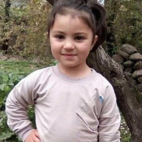 Նելլի Նավասարդյան