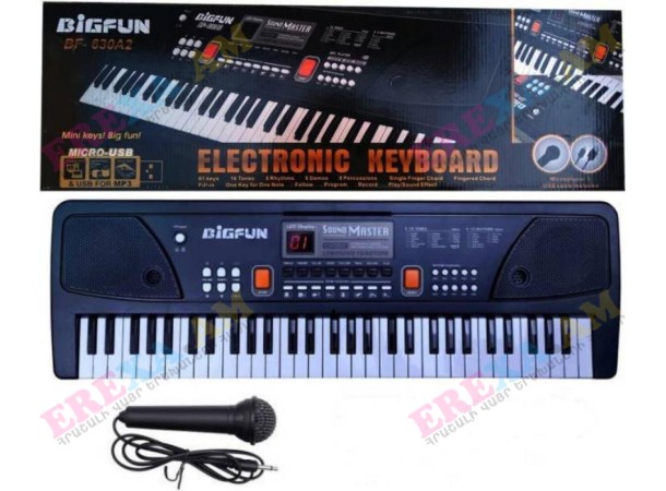 Մանկական սինթեզատոր` խոսափողով և USB պորտով