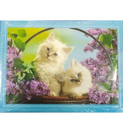 Փազլ 300 կտոր