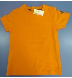 Նարնջագույն շապիկ