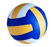 Վոլեյբոլի գնդակներ