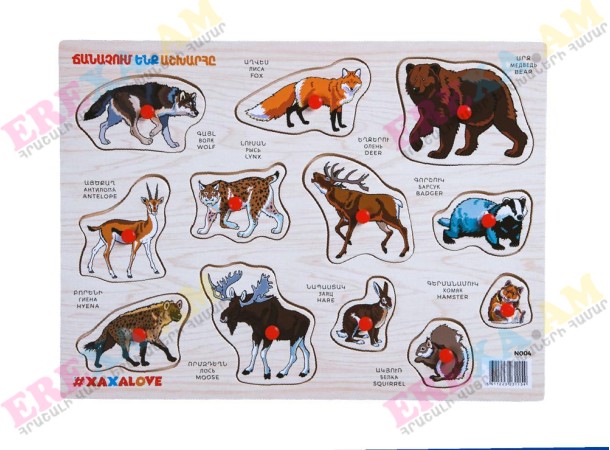 Ճանաչում ենք աշխարհը - Անտառային կենդանիներ Եռալեզու