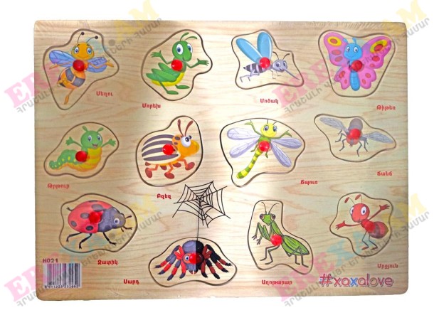 Ճանաչում ենք աշխարհը - Միջատներ