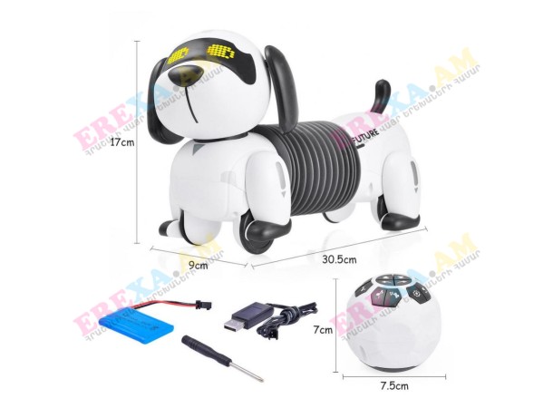 Ռոբոտ շնիկ հեռակառավարման վահանակով Future Ռոբոտ շնիկ հեռակառավարման վահանակով Future