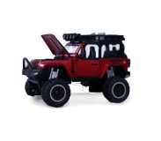 Մեծ Վրանգլեր 1941